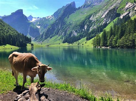 Hiking in Switzerland: (almost) everything you need to know