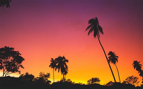 Tropical Sunset 4K Wallpapers - 4k, HD Tropical Sunset 4K Backgrounds ...