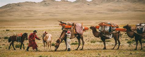 What to Expect When You Stay with a Nomadic Family in Mongolia