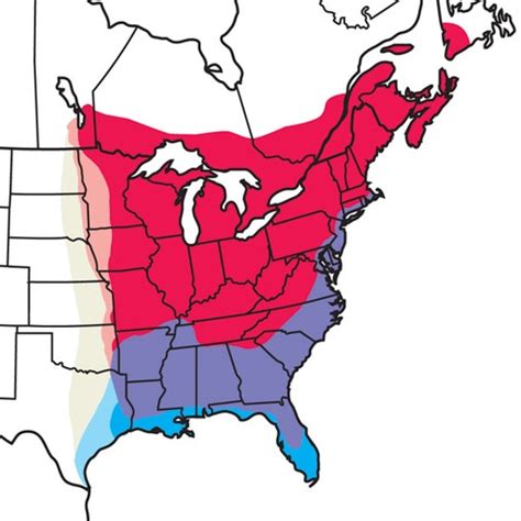 Woodcock Migration Map 2025 - Gaby Shandee