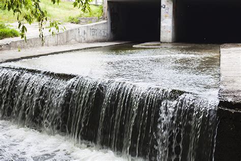 Removing pollutants from urban runoff | WSU Research | Washington State ...