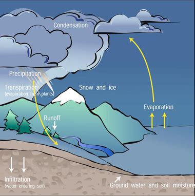 52+ Water Cycle Diagram Explanation