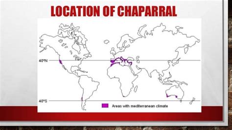 Chaparral biome PERIOD 3