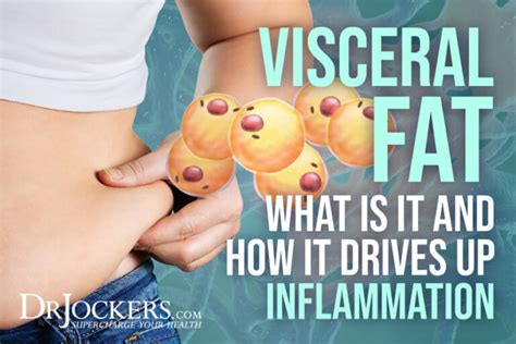 Visceral Fat: What is It and How it Drives Up Inflammation