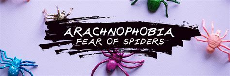 Arachnophobia: Fear of Spiders and How to Overcome It