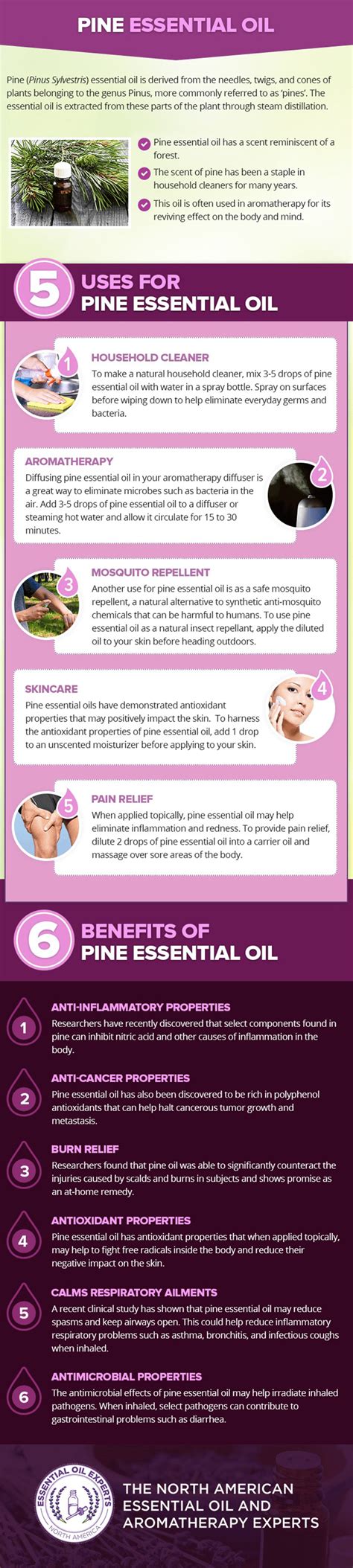 Pine Essential Oil I Uses, Benefits & Where to Buy