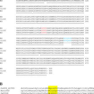 Amino acid sequence analysis. (A) Amino acid sequence alignment of the ...