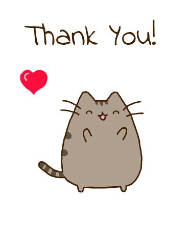 Thanks Cat Gif