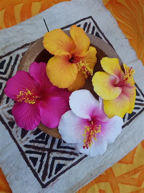 Hawaiian Hibiscus - Style 2 – Sei Oriana Gift Shop