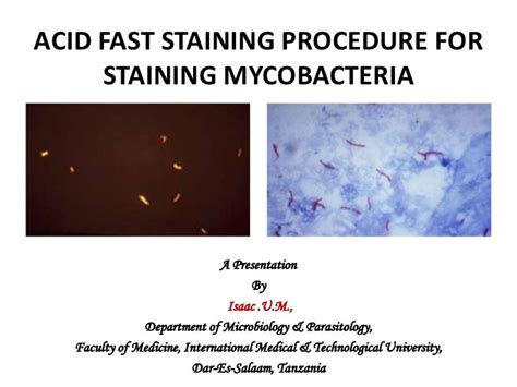 Acid fast staining procedure for staining mycobacteria