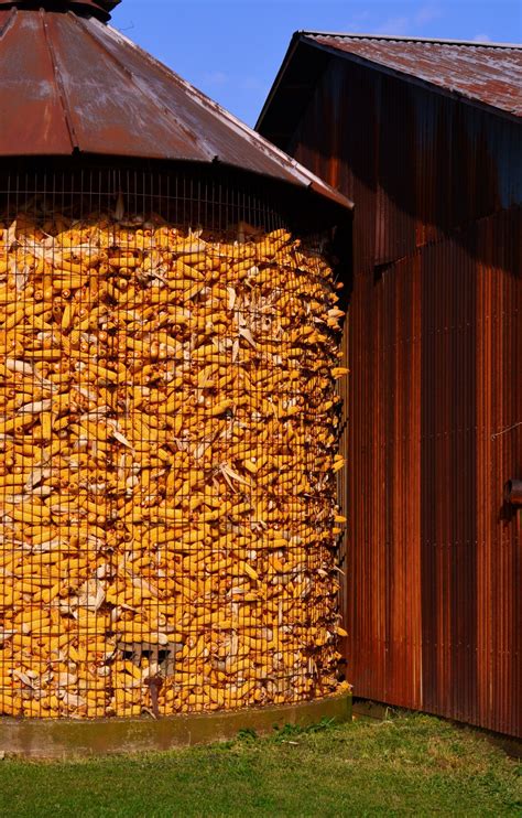 SMALL SILO OF HARVESTED CORN | Landleben, Bauernhof, Landwirtschaft