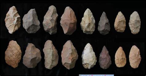 Stone Tools Ties to Rise of Homo Erectus | Human Evolution | Live Science