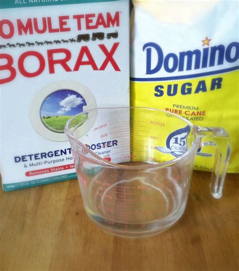 how to make liquid borax ant killer - Wards Logbook Miniaturas