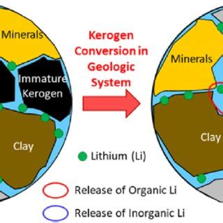 A conceptual diagram of kerogen-bearing formation in pore-scale that ...