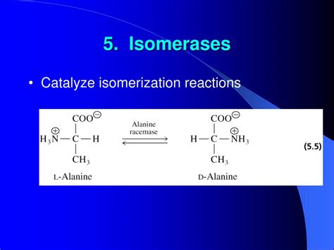 PPT - Properties of Enzymes PowerPoint Presentation, free download - ID ...