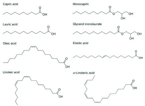 Chemical Makeup Of Fatty Acids - Mugeek Vidalondon