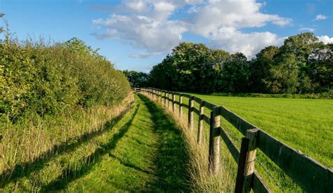 9 Types of Farm Fencing - Farmhouse Guide