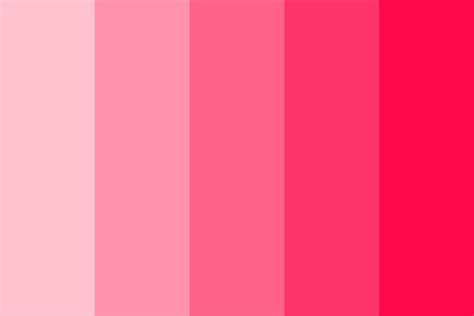 Rose Pink Color Palette