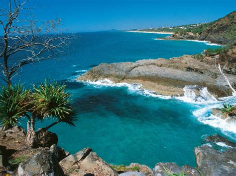 Coastal walk, Noosa National Park | Australia's Nature Coast - Sunshine ...