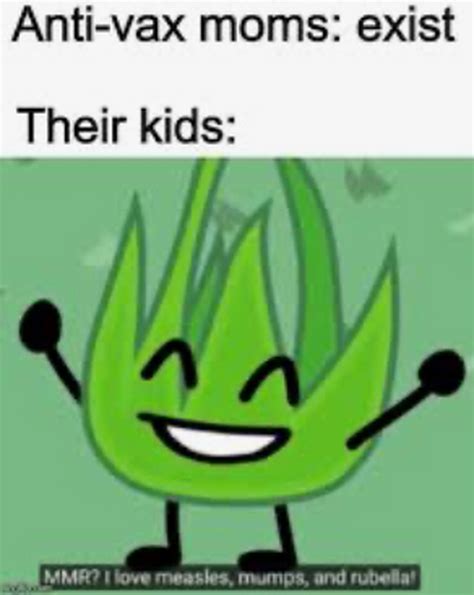 Daily Dose of BFDI Memes 2! | Fandom