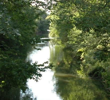 Alewife Brook Reservation | Mass.gov