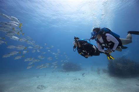 Smith Ocean Adventure Travel - Blog - Why Become A PADI Divemaster?