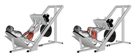 Leg Press: Benefits, Muscles Worked, and More - Inspire US