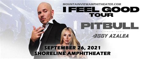 Pitbull Concert 2024 California - Reeta Celestia