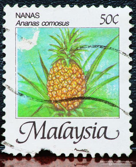 Fruits of Malaysia Definitives Stamps | Stamps Gallery