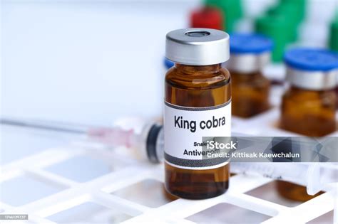 King Cobra Snake Antivenoms In A Vial Serum For Injection To Prevent ...