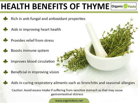 Thyme Benefits - DRS. LILA & SAMUEL FLAGLER