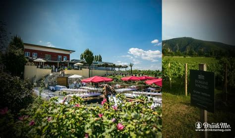 Austrian Wine Tasting Along the Danube & Burgenland | Drink Me Magazine