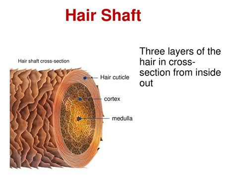 Why is our hair better than others'?