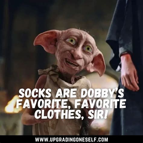 Top 17 Beautiful Quotes From Dobby That Are Heart-Touching