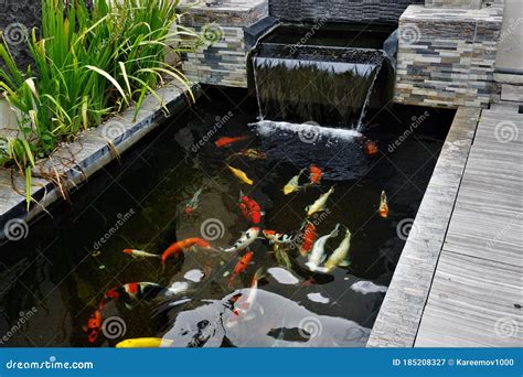 Modern Fish Pond Designs With Waterfalls - K0nem