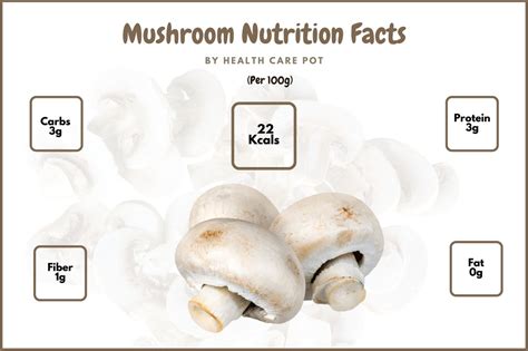 100G Mushroom Nutrition Facts And Benefits - Health Care Pot