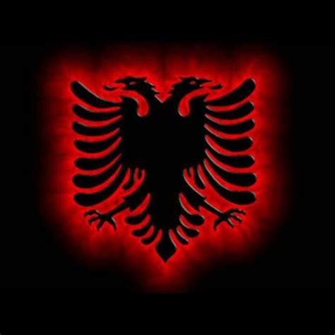 Albanian Eagle | Albania flag, Eagle wallpaper, Albanian eagle