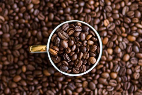 Arabica vs Robusta Coffee: What’s the Difference?