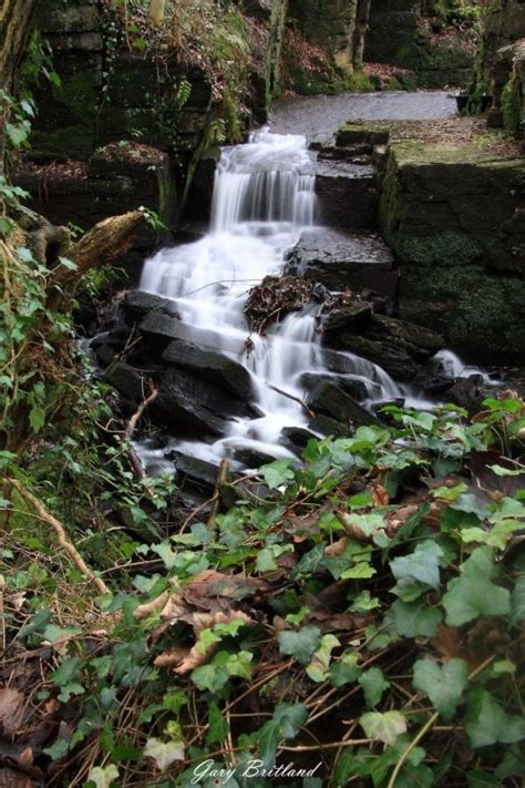 "Hapton Castle clough" by jackrovers at PicturesofEngland.com