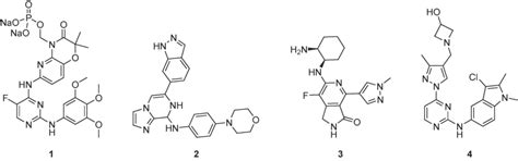 What are SYK inhibitors and Examples? - BOC Sciences