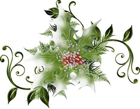 Holly clipart botanical illustration, Holly botanical illustration ...