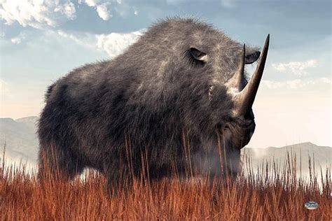 "Ice Age Rhino" Here is another image of my one of my favorite extinct ...