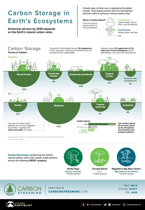 Carbon capture and storage companies - ilfopt