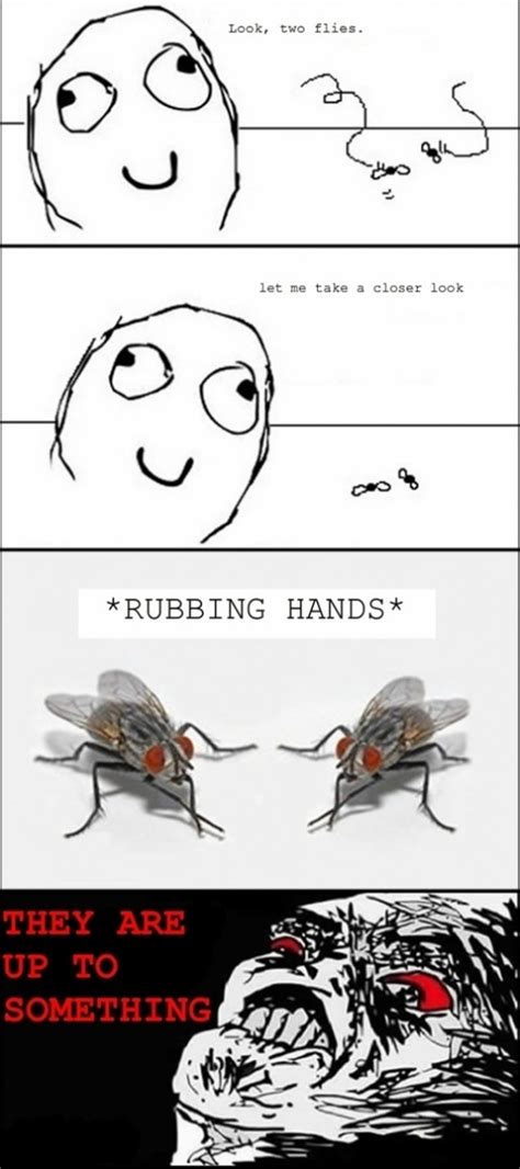 plotting flies - Meme by bigbeel :) Memedroid