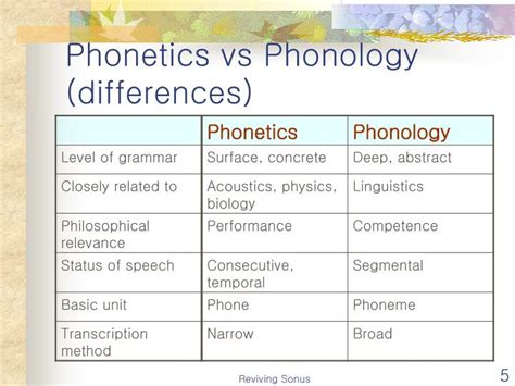 PPT - Phonology: The Sound Pattern of Language PowerPoint Presentation ...