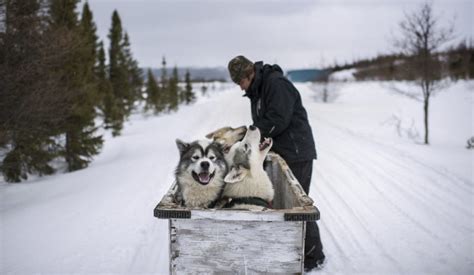 Inuit dogsled racing is running out of time | The Narwhal