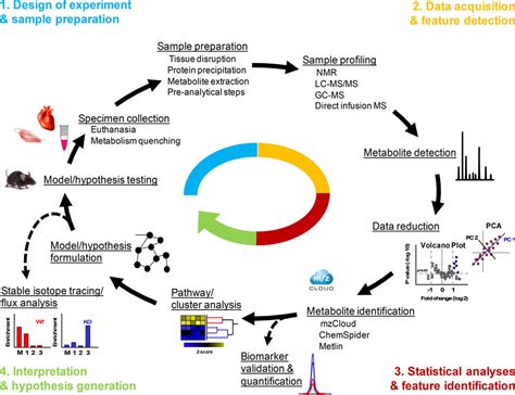 Cardiovascular Metabolomics | Circulation Research