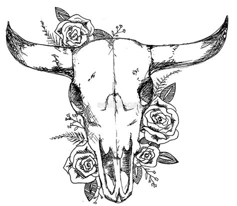 Cow Skull Coloring Pages