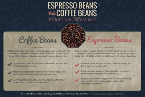 Espresso Beans vs Coffee Beans: What’s the Difference?