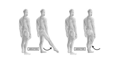 CrossFit | Movement about Joints, Part 5: The Hip